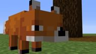An adorable fox (Image via Reddit)